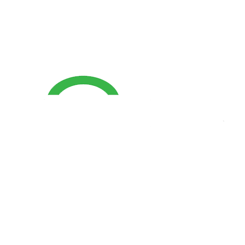 logo vivitek
